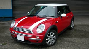 MINI{Xg