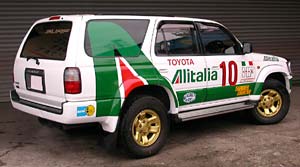 Alitalia surf